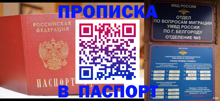 временная регистрация в квартире в Мурманской области